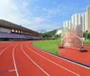 Mesh Banner mit Ösen - Stadion-Banner 340 x 175 cm | Window2Print