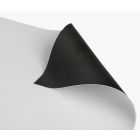 black back banner